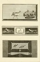 Picture 66 of 84 from Les antiquités d'Herculanum : avec leurs explications en françois (1780), leaf 212