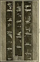 An illustration from Les antiquités d'Herculanum : avec leurs explications en françois (1780)