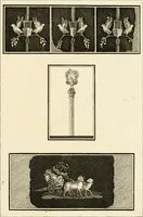 Picture 77 of 84 from Les antiquités d'Herculanum : avec leurs explications en françois (1780), leaf 246