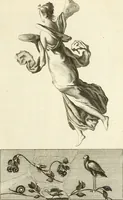 An illustration from Les antiquités d'Herculanum : avec leurs explications en françois (1780)