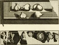 An illustration from Les antiquités d'Herculanum : avec leurs explications en françois (1780)