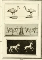 Picture 70 of 130 from Les antiquités d'Herculanum : avec leurs explications en françois (1780), leaf 166