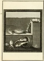 Picture 107 of 130 from Les antiquités d'Herculanum : avec leurs explications en françois (1780), leaf 258