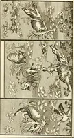 An illustration from Les antiquités d'Herculanum : avec leurs explications en françois (1780)