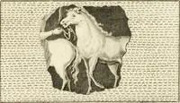 An illustration from Les antiquités d'Herculanum : avec leurs explications en françois (1780)
