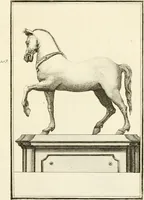 An illustration from Les antiquités d'Herculanum : avec leurs explications en françois (1780)