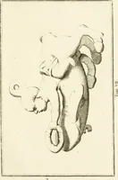 Picture 102 of 109 from Les antiquités d'Herculanum : avec leurs explications en françois (1780), leaf 298
