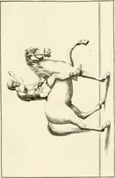An illustration from Les antiquités d'Herculanum : avec leurs explications en françois (1780)