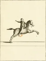 An illustration from Les antiquités d'Herculanum : avec leurs explications en françois (1780)