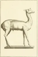 An illustration from Les antiquités d'Herculanum : avec leurs explications en françois (1780)