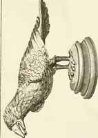 An illustration from Les antiquités d'Herculanum : avec leurs explications en françois (1780)
