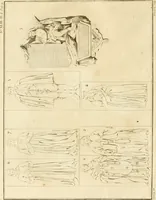 An illustration from Antiquités nationales, ou, Recueil de monumens : pour servir à l'histoire générale et particulière de l'empire françois, tels que tombeaux, inscriptions, statues, vitraux, fresques, etc. : tirés des abbayes, monastères, châteaux, et autres lieux devenus domaines nationaux (1790)