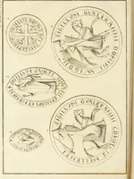 An illustration from Antiquités nationales, ou, Recueil de monumens : pour servir à l'histoire générale et particulière de l'empire françois, tels que tombeaux, inscriptions, statues, vitraux, fresques, etc. : tirés des abbayes, monastères, châteaux, et autres lieux devenus domaines nationaux (1790)
