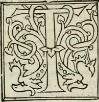 An illustration from Antiqvae Romae topographia libri septem (1534)