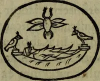An illustration from Thomae Bartholini Antiqvitatvm Veteris pverperii synopsis a filio Casparo Bartholino commentario illustrata (1676)