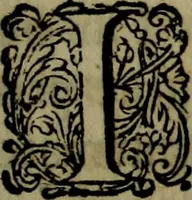 An illustration from Thomae Bartholini Antiqvitatvm Veteris pverperii synopsis a filio Casparo Bartholino commentario illustrata (1676)