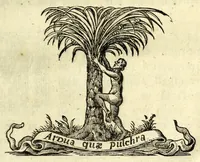 Picture 14 of 19 from Antonii Bynaei De calceis Hebraeorum libri duo : curis secundis recogniti, et aucti : accedit ejusdem Somnium, tertio recusum (1695), leaf 325