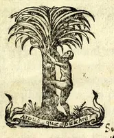 An illustration from Antonii Bynaei De calceis Hebraeorum libri duo : curis secundis recogniti, et aucti : accedit ejusdem Somnium, tertio recusum (1695)