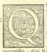 An illustration from Galeni librorum septima classis : curativum methodum tum diffuse tum breviter descriptam, victus rationem in morbis acutis, singulorum morborum facile paranda remedia, privatam quorundam morborum curationem, chirurgie constitutionem, fracturarum ac luxationum sanationem, fasciarum deniq ; & laqueorum & machinamentorum tractatum continet (1576)