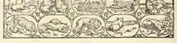 Picture 4 of 94 from Galeni librorum septima classis : curativum methodum tum diffuse tum breviter descriptam, victus rationem in morbis acutis, singulorum morborum facile paranda remedia, privatam quorundam morborum curationem, chirurgie constitutionem, fracturarum ac luxationum sanationem, fasciarum deniq ; & laqueorum & machinamentorum tractatum continet (1576), leaf 386