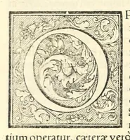 An illustration from Galeni librorum septima classis : curativum methodum tum diffuse tum breviter descriptam, victus rationem in morbis acutis, singulorum morborum facile paranda remedia, privatam quorundam morborum curationem, chirurgie constitutionem, fracturarum ac luxationum sanationem, fasciarum deniq ; & laqueorum & machinamentorum tractatum continet (1576)