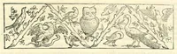 An illustration from Galeni librorum septima classis : curativum methodum tum diffuse tum breviter descriptam, victus rationem in morbis acutis, singulorum morborum facile paranda remedia, privatam quorundam morborum curationem, chirurgie constitutionem, fracturarum ac luxationum sanationem, fasciarum deniq ; & laqueorum & machinamentorum tractatum continet (1576)