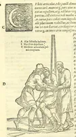 An illustration from Galeni librorum septima classis : curativum methodum tum diffuse tum breviter descriptam, victus rationem in morbis acutis, singulorum morborum facile paranda remedia, privatam quorundam morborum curationem, chirurgie constitutionem, fracturarum ac luxationum sanationem, fasciarum deniq ; & laqueorum & machinamentorum tractatum continet (1576)