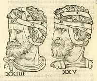 An illustration from Galeni librorum septima classis : curativum methodum tum diffuse tum breviter descriptam, victus rationem in morbis acutis, singulorum morborum facile paranda remedia, privatam quorundam morborum curationem, chirurgie constitutionem, fracturarum ac luxationum sanationem, fasciarum deniq ; & laqueorum & machinamentorum tractatum continet (1576)