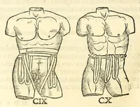 An illustration from Galeni librorum septima classis : curativum methodum tum diffuse tum breviter descriptam, victus rationem in morbis acutis, singulorum morborum facile paranda remedia, privatam quorundam morborum curationem, chirurgie constitutionem, fracturarum ac luxationum sanationem, fasciarum deniq ; & laqueorum & machinamentorum tractatum continet (1576)