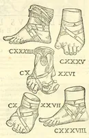 An illustration from Galeni librorum septima classis : curativum methodum tum diffuse tum breviter descriptam, victus rationem in morbis acutis, singulorum morborum facile paranda remedia, privatam quorundam morborum curationem, chirurgie constitutionem, fracturarum ac luxationum sanationem, fasciarum deniq ; & laqueorum & machinamentorum tractatum continet (1576)