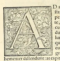 An illustration from Galeni librorum septima classis : curativum methodum tum diffuse tum breviter descriptam, victus rationem in morbis acutis, singulorum morborum facile paranda remedia, privatam quorundam morborum curationem, chirurgie constitutionem, fracturarum ac luxationum sanationem, fasciarum deniq ; & laqueorum & machinamentorum tractatum continet (1576)