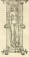 Picture 92 of 94 from Galeni librorum septima classis : curativum methodum tum diffuse tum breviter descriptam, victus rationem in morbis acutis, singulorum morborum facile paranda remedia, privatam quorundam morborum curationem, chirurgie constitutionem, fracturarum ac luxationum sanationem, fasciarum deniq ; & laqueorum & machinamentorum tractatum continet (1576), leaf 662