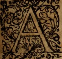 Picture 54 of 68 from Antonii Wottoni Londinatis Angli De reconciliatione peccatoris : ad regium Collegium Cantabrigiense, libri quatuor. In quibus doctrina ecclesiae Anglicanae de justificatione impij explicatur & defenditur .. (1624), leaf 262