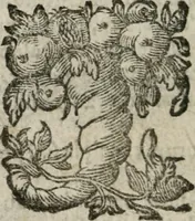 Picture 23 of 23 from AntonI Sucquet e Societate Iesu Via vitae aeternae (1630), leaf 543