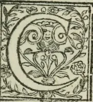 Picture 3 of 23 from AntonI Sucquet e Societate Iesu Via vitae aeternae (1630), leaf 6