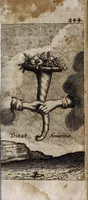 Picture 8 of 9 from AntonI Sucquet e Societate Iesu Via vitae aeternae (1630), leaf 295
