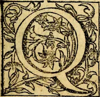 Picture 8 of 51 from Antoni Sucquet ... Via vitae aeternae (1630), leaf 26