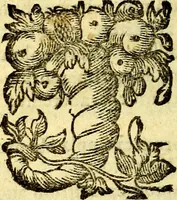Picture 25 of 51 from Antoni Sucquet ... Via vitae aeternae (1630), leaf 543