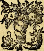 An illustration from Antoni Sucquet ... Via vitae aeternae (1630)