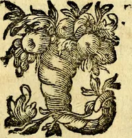 Picture 38 of 51 from Antoni Sucquet ... Via vitae aeternae (1630), leaf 692
