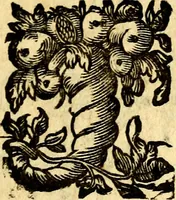 Picture 44 of 51 from Antoni Sucquet ... Via vitae aeternae (1630), leaf 812