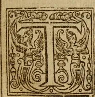An illustration from Antichrist the pope of Rome : or, the pope of Rome is Antichrist (1625)