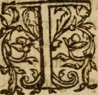 An illustration from Antichrist the pope of Rome : or, the pope of Rome is Antichrist (1625)