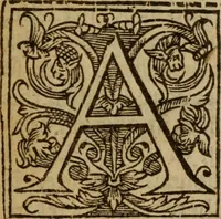 Picture 2 of 11 from Antichrist the pope of Rome : or, the pope of Rome is Antichrist (1625), leaf 6