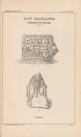 Picture 9 of 9 from Anuradhpura and the North-Central Province ... : progress report (1890), leaf 161