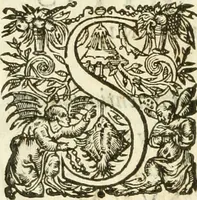 Picture 8 of 18 from Opera Francisci Baronis de Vervlamio ... Tomvs primvs: qui continet De dignitate & augmentis scientiarum, libros IX .. (1623), leaf 205