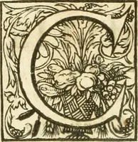 Picture 13 of 18 from Opera Francisci Baronis de Vervlamio ... Tomvs primvs: qui continet De dignitate & augmentis scientiarum, libros IX .. (1623), leaf 293