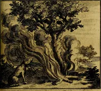 Picture 15 of 45 from Apelles symbolicus, exhibens seriem amplissimam symbolorum, poetisque, oratoribus ac verbi dei praedicatoribus conceptus subministrans varios (1699), leaf 238