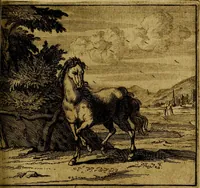An illustration from Apelles symbolicus, exhibens seriem amplissimam symbolorum, poetisque, oratoribus ac verbi dei praedicatoribus conceptus subministrans varios (1699)