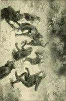 An illustration from Apes and monkeys; their life and language (1900)